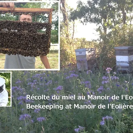 Manoir De L'eoliere